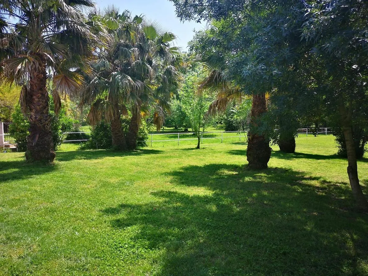 L'Ecrin De Hyeres Bed & Breakfast